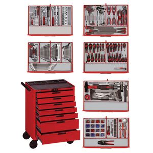 Teng Tools Servante d'atelier complète pro 491 outils Teng Tools