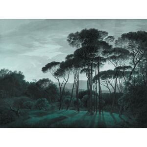 Les Dominotiers Papier peint panoramique Pine Trees