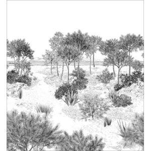 Isidore Leroy Papier peint panoramique Dune Gris