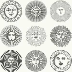 Cole and Son Papier peint Soli Fornasetti