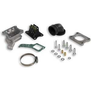 Complessivo Collettore X360 Lamellare Al Carter Phbh Per Vespa Px-T5 125 Cc Malossi Vespa Px 125 2t Euro 2 (Vlx2m)