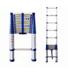 AJIEYMXS Ladderscopische Ladder, Verlengladder,Copische Ladder Voor Het Knippen Van Heggen,Copische Ladder Voor Tenten Voor Het Kamperen, Opvouwbare Verlengladder 8,5 10,5 12,5 16 20 Voeten, Rooftop R