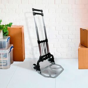 WFX Utility 80kg Hand Truck Trolley