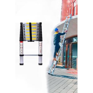 Neo Extendable Aluminium Foldable Telescopic Ladder