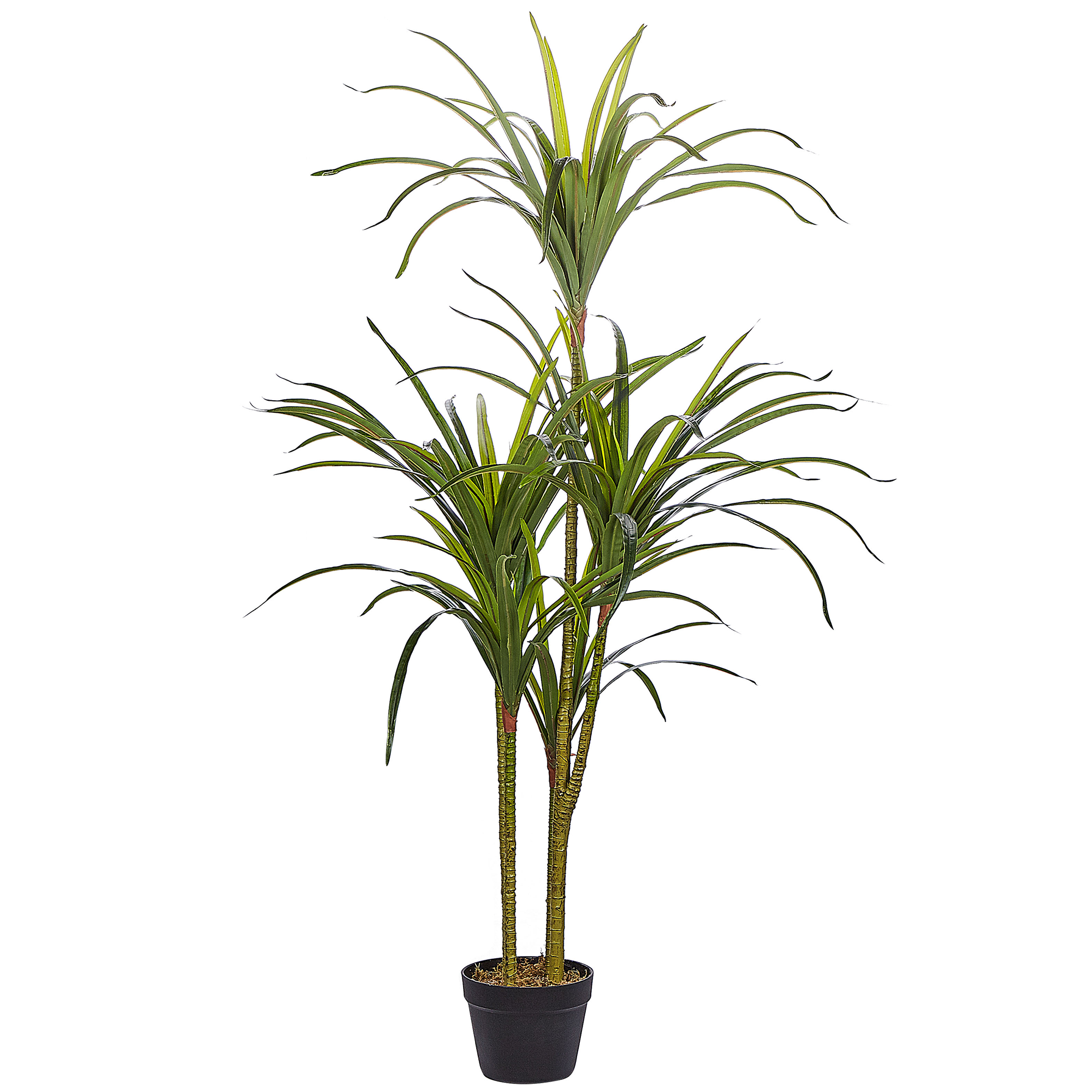 Beliani Umělá rostlina v květináči 147 cm DRACAENA ANITA