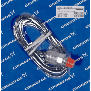 Grundfos Sp17-21 Rp21/2 6