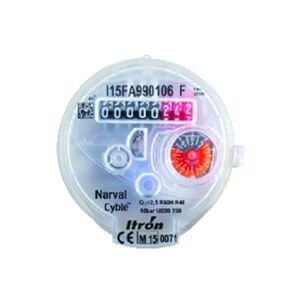 - Compteur divisionnaire eau froide narval 3/4 : 6UKB15Y110BR50LCBXNFR