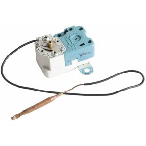 - Thermostat de chauffe-eau à sonde L400mm, s 80°C bipolaire bbsb : BBSB000507