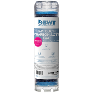 BWT Cartouche charbon actif en grains