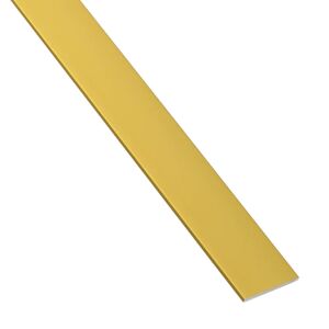STANDERS Profilo piatto  in alluminio anodizzato dorato opaco L1m L20xSp2xH2 mm