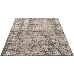 my home Teppich »Selin«, rechteckig, dezenter Glanz, Schrumpf-Garn-Effekt, im... grau  B/L: 200 cm x 300 cm