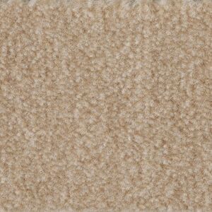 Bodenmeister Teppichboden »Veloursteppich Jupiter«, rechteckig, Wohnzimmer,... hell-braun beige  B/L: 500 cm x 200 cm