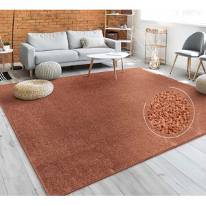 Paco Home Teppich »Porto 890«, rechteckig, Kurzflor, Uni-Farben, ideal im... kupfer  B/L: 200 cm x 280 cm