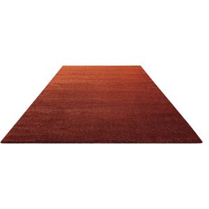 Homie Living Teppich »Lido HL-822937«, rechteckig braun Größe B/L: 120 cm x 170 cm