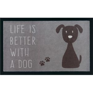 my home Fussmatte »Hund«, rechteckig, Rutschfest, Tiermotiv, Dog, mit Spruch,... braun/grau Größe B/L: 45 cm x 75 cm