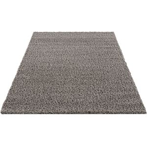 andas Hochflor-Teppich »Saron«, rechteckig, Teppich Hochflor, besonders... grau Größe B/L: 200 cm x 290 cm