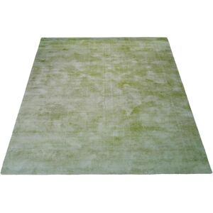 andas Teppich »Besarta«, rechteckig, Wohnzimmer grün Größe B/L: 80 cm x 150 cm