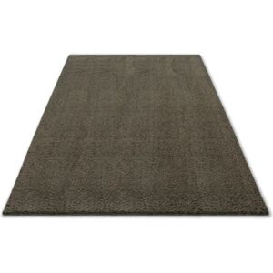 andas Hochflor-Teppich »Ilvi«, rechteckig, extra flauschig, besonders weich... braun Größe B/L: 160 cm x 230 cm