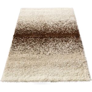 andas Hochflor-Teppich »Gierslev«, rechteckig, moderner Farbverlauf, weich &... beige Größe B/L: 60 cm x 110 cm