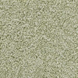 Vorwerk Teppichboden »Veloursteppich Passion 1055«, rechteckig, Wohnzimmer,... hell-grün Größe B/L: 500 cm x 200 cm