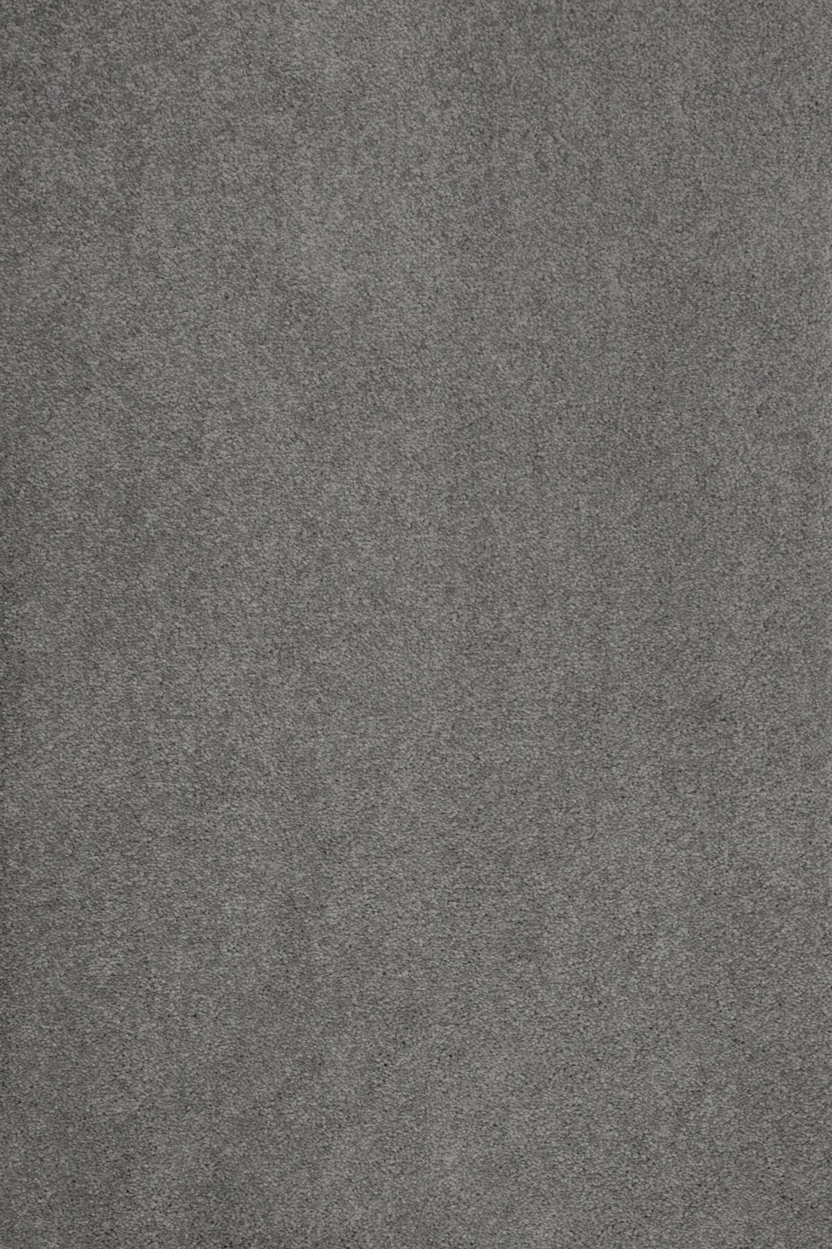 Sedna Teppichboden »Proteus«, rechteckig, 12 mm Höhe grau