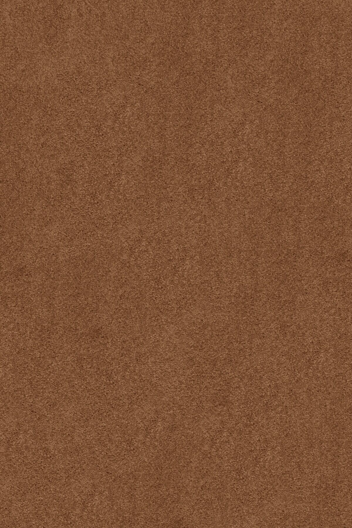 Sedna Teppichboden »Proteus«, rechteckig, 12 mm Höhe goldfarben