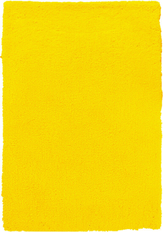 Kusový koberec Spring Yellow - 120x170 cm