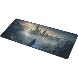 Musmåtte Harry Potter - 70x30 cm - Gaming Multicolor