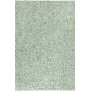 Tapis à Poils Longs doux Softy Tapis de Salon, Chambre, Couloir (Vert Amande - 60x110cm) - Publicité