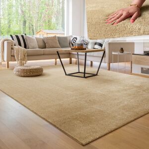 Tapis de salon Unicolore Lavable Pile courte et douce 160x220 cm, Beige - Paco Home - Publicité