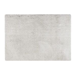 OZAIA Tapis shaggy a poils longs microfibre - 120 x 170 cm - Blanc - HARVEY