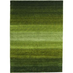 Gabbeh Rainbow Tapis - Vert 210x290