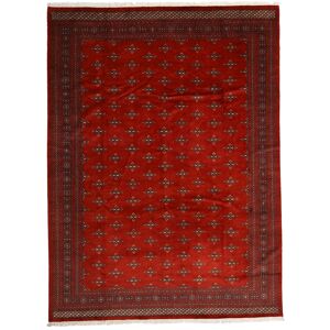 Noué à la main. Origine: Pakistan Pakistan Boukhara 2ply Tapis 303x408