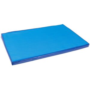 Tapis de désinfection pour les entrées détable - protection de létable contre les épidémies, 90x60cm, bleu