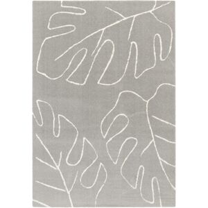 120x170 Tapis de salon en velours - Palme - Motif feuille - Écru et gris clair