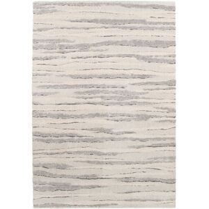 160x230 Tapis de salon doux à motif organique - Nube - Beige et gris