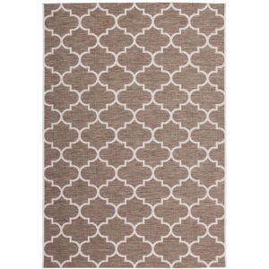 Tapis extérieur Polypropylène Marron Gris 230x1x160cm