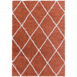 AlloTapis Tapis geometrique scandinave en polypropylene terre 160x230