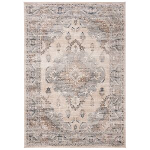 Safavieh Tapis de salon interieur en beige & gris, 122 x 183 cm