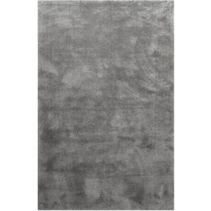 Homie Living Tapis en microfibre dense gris 120x170 cm