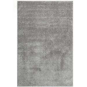 Esprit Tapis poils longs doux brillant gris clair 133x200