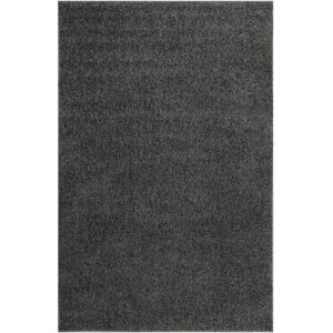 Esprit Tapis poils longs effet bouclette gris anthracite 120x170