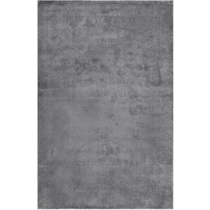 Esprit Tapis basique gamme essentielle gris chine 120x170