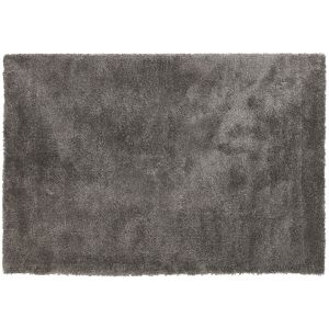 ALTEREGO Tapis de salon shaggy 'TISSO' gris foncé - 120x170 cm