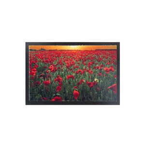 Blancheporte Tapis anti-poussière motif coquelicots - BlancheporteCe tapis au motif coquelicots retient la poussière et comporte un dessous antidérapant et un décor original !Tapis : 60x80cmUnique