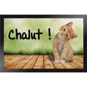 Tapis anti-poussiere motif chatons - BlancheporteCe tapis au motif chatons retient la poussiere et comporte un dessous antiderapant et un decor original !Tapis : 60x80cmUnique