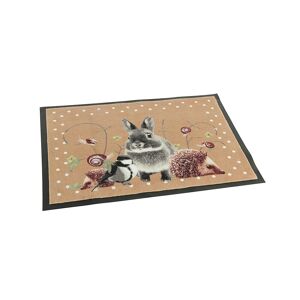 Tapis anti-poussiere motif lapin - BlancheporteLapin et ses amis vous accueilleront des l'entree et emprisonneront salissures, poussieres sur ce tapis antiderapant.Tapis : 60x80cmMarron