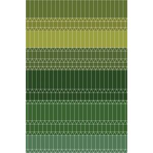 MOOOI CARPETS tapis ZIGZAG Signature collection (Vert 300x400 cm - Polyamide à poils bas)