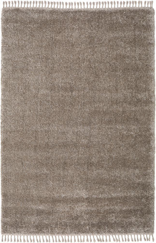 RugVista Ensfarget Teppe Boho 200X300 Lysbrun/Brun