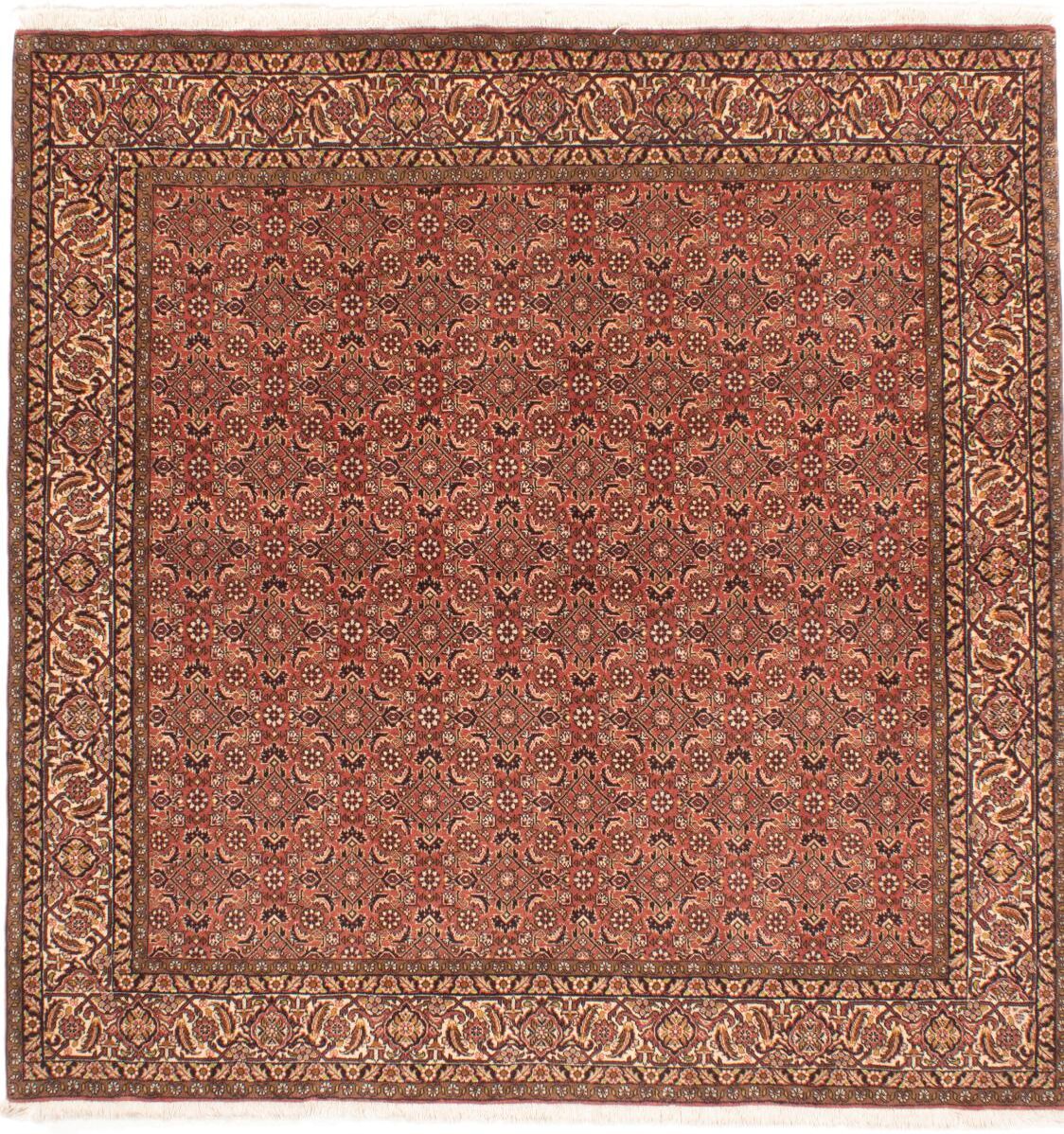 Nain Trading Tapete Bidjar Tekab 199x196 Brown/Rust (Pérsia / Irão, Lã, Mão-atada)